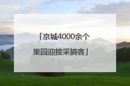 京城4000余个果园迎接采摘客
