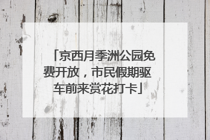 京西月季洲公园免费开放，市民假期驱车前来赏花打卡