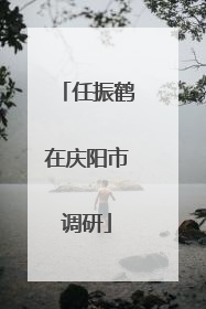 任振鹤在庆阳市调研