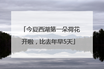 今夏西湖第一朵荷花开啦，比去年早5天