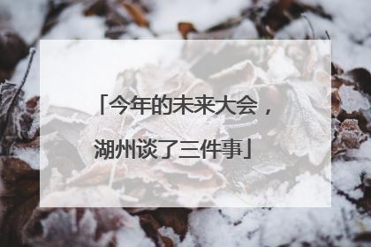 今年的未来大会，湖州谈了三件事