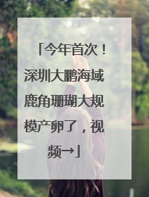 今年首次！深圳大鹏海域鹿角珊瑚大规模产卵了，视频→