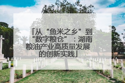 从“鱼米之乡”到“数字粮仓”：湖南粮油产业高质量发展的创新实践