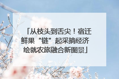从枝头到舌尖！宿迁鲜果“链”起采摘经济绘就农旅融合新图景