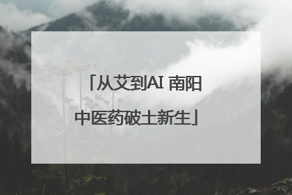 从艾到AI 南阳中医药破土新生