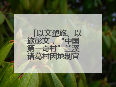 以文塑旅、以旅彰文，“中国第一奇村”兰溪诸葛村因地制宜激活千年文脉