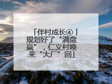伴村成长④丨规划好了“满盘赢”，仁义村唤来“大厂”回