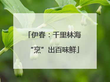伊春：千里林海“烹”出百味鲜