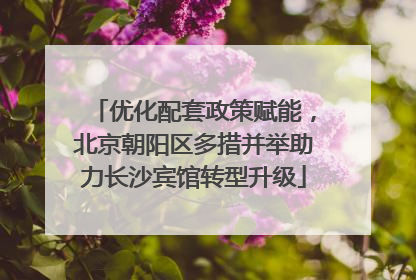 优化配套政策赋能，北京朝阳区多措并举助力长沙宾馆转型升级