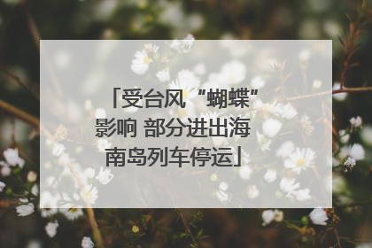 受台风“蝴蝶”影响 部分进出海南岛列车停运