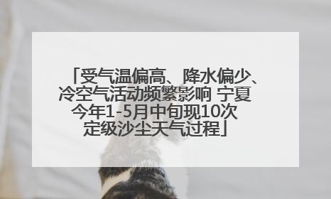 受气温偏高、降水偏少、冷空气活动频繁影响 宁夏今年1-5月中旬现10次定级沙尘天气过程