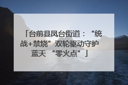 台前县凤台街道：“统战+禁烧”双轮驱动守护蓝天 “零火点”