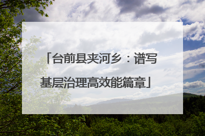 台前县夹河乡：谱写基层治理高效能篇章
