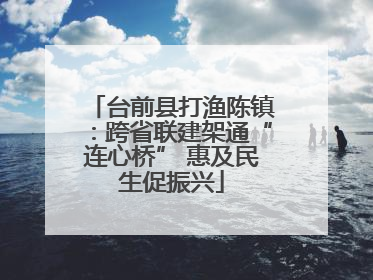 台前县打渔陈镇：跨省联建架通“连心桥” 惠及民生促振兴