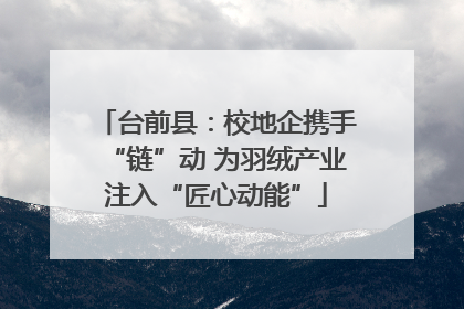 台前县：校地企携手“链”动 为羽绒产业注入“匠心动能”