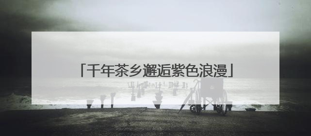 千年茶乡邂逅紫色浪漫