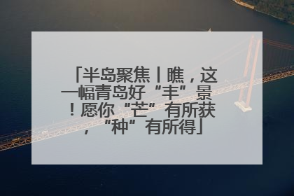 半岛聚焦丨瞧，这一幅青岛好“丰”景！愿你“芒”有所获，“种”有所得