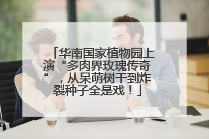 华南国家植物园上演“多肉界玫瑰传奇”，从呆萌树干到炸裂种子全是戏！