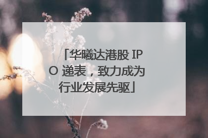 华曦达港股 IPO 递表，致力成为行业发展先驱