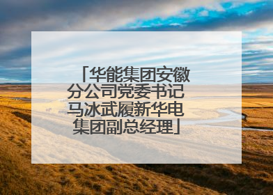 华能集团安徽分公司党委书记马冰武履新华电集团副总经理
