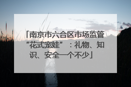 南京市六合区市场监管“花式宠娃”：礼物、知识、安全一个不少