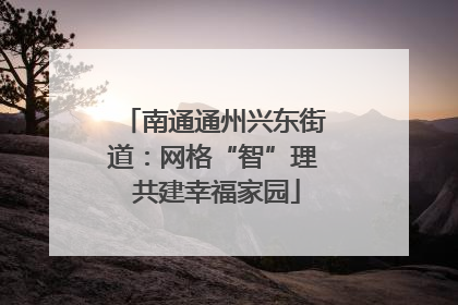 南通通州兴东街道：网格“智”理 共建幸福家园