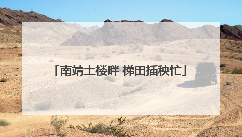 南靖土楼畔 梯田插秧忙