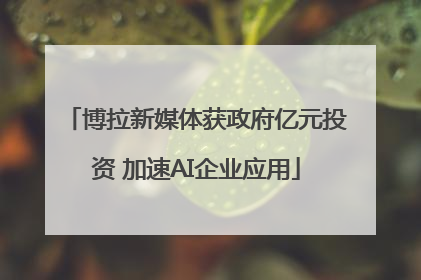 博拉新媒体获政府亿元投资 加速AI企业应用