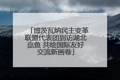 博茨瓦纳民主变革联盟代表团到访湖北嘉鱼 共绘国际友好交流新画卷