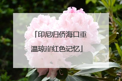 印尼归侨海口重温琼崖红色记忆