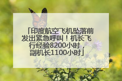 印度航空飞机坠落前发出紧急呼叫！机长飞行经验8200小时，副机长1100小时
