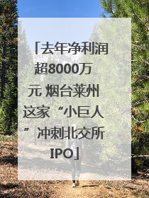 去年净利润超8000万元 烟台莱州这家“小巨人”冲刺北交所IPO