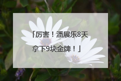 厉害！潘展乐8天拿下9块金牌！