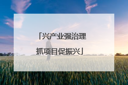 兴产业强治理 抓项目促振兴