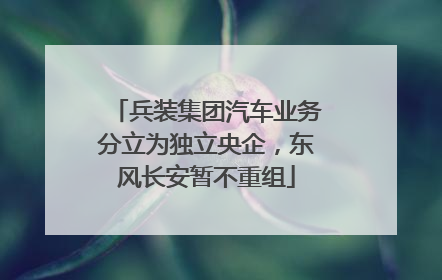 兵装集团汽车业务分立为独立央企，东风长安暂不重组