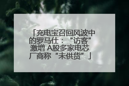 充电宝召回风波中的罗马仕：“访客”激增 A股多家电芯厂商称“未供货”
