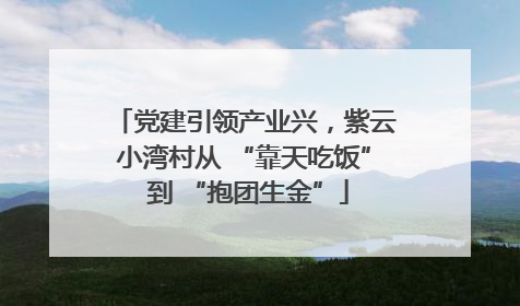党建引领产业兴，紫云小湾村从 “靠天吃饭” 到 “抱团生金”