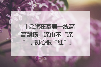 党旗在基层一线高高飘扬｜深山不“深”，初心很“红”
