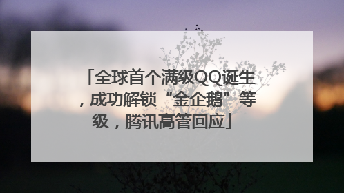 全球首个满级QQ诞生，成功解锁“金企鹅”等级，腾讯高管回应