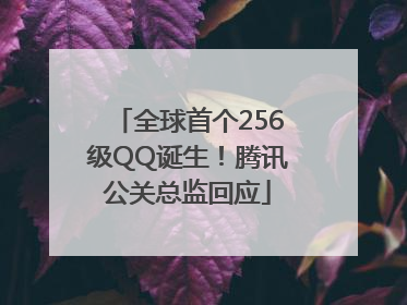 全球首个256级QQ诞生！腾讯公关总监回应