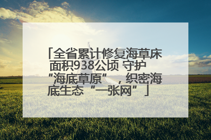 全省累计修复海草床面积938公顷 守护“海底草原”，织密海底生态“一张网”