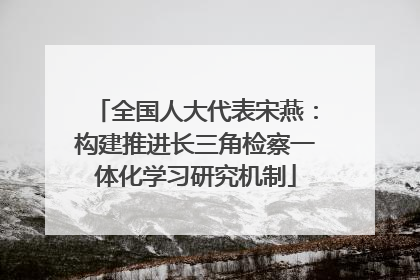 全国人大代表宋燕：构建推进长三角检察一体化学习研究机制
