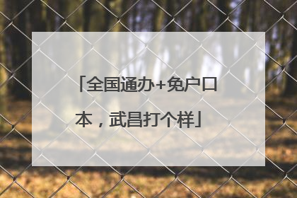 全国通办+免户口本，武昌打个样