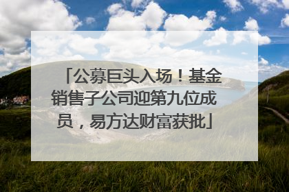 公募巨头入场！基金销售子公司迎第九位成员，易方达财富获批
