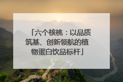 六个核桃：以品质筑基、创新领航的植物蛋白饮品标杆