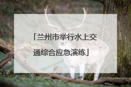 兰州市举行水上交通综合应急演练