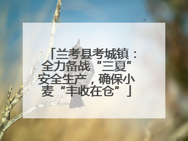 兰考县考城镇：全力备战“三夏”安全生产，确保小麦“丰收在仓”
