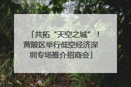 共拓“天空之城”！黄陂区举行低空经济深圳专场推介招商会