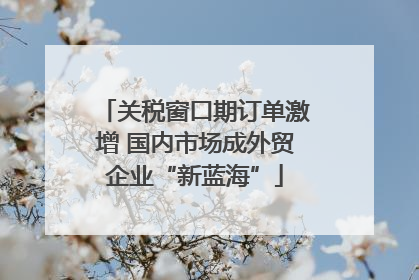 关税窗口期订单激增 国内市场成外贸企业“新蓝海”
