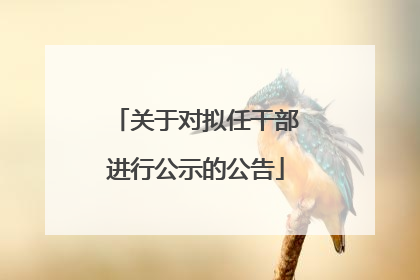 关于对拟任干部进行公示的公告